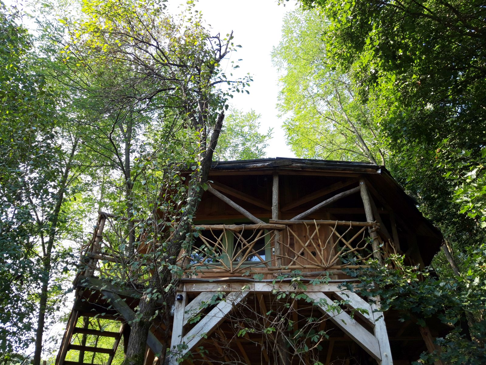 Baranya-treehouse